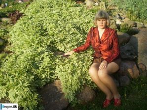 Солянка. Часть 9. Эскиз 3