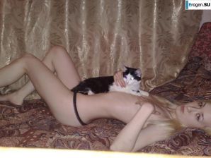 Ко всемирному дню котэ посвящается. Эскиз 7