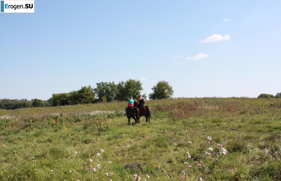 Rider. Photo 30