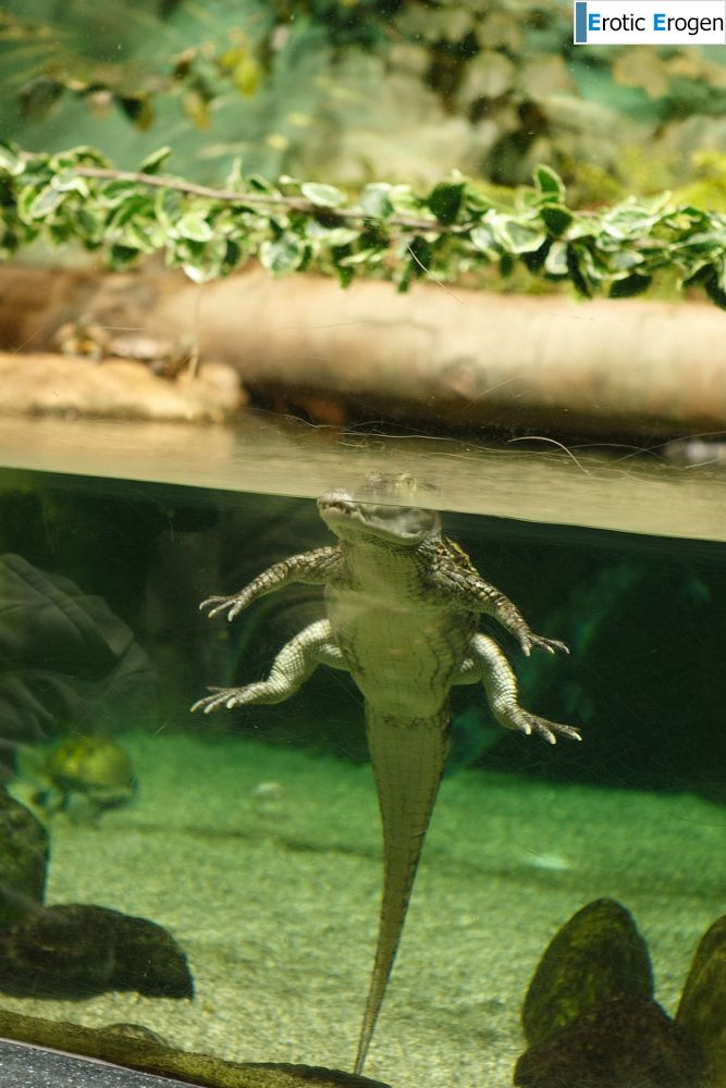 Ira Sedina in Night At The Aquarium. Фото 14