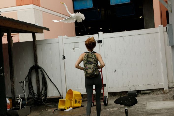 Debra Kenlow in Rare Bird Florida. Эскиз 8