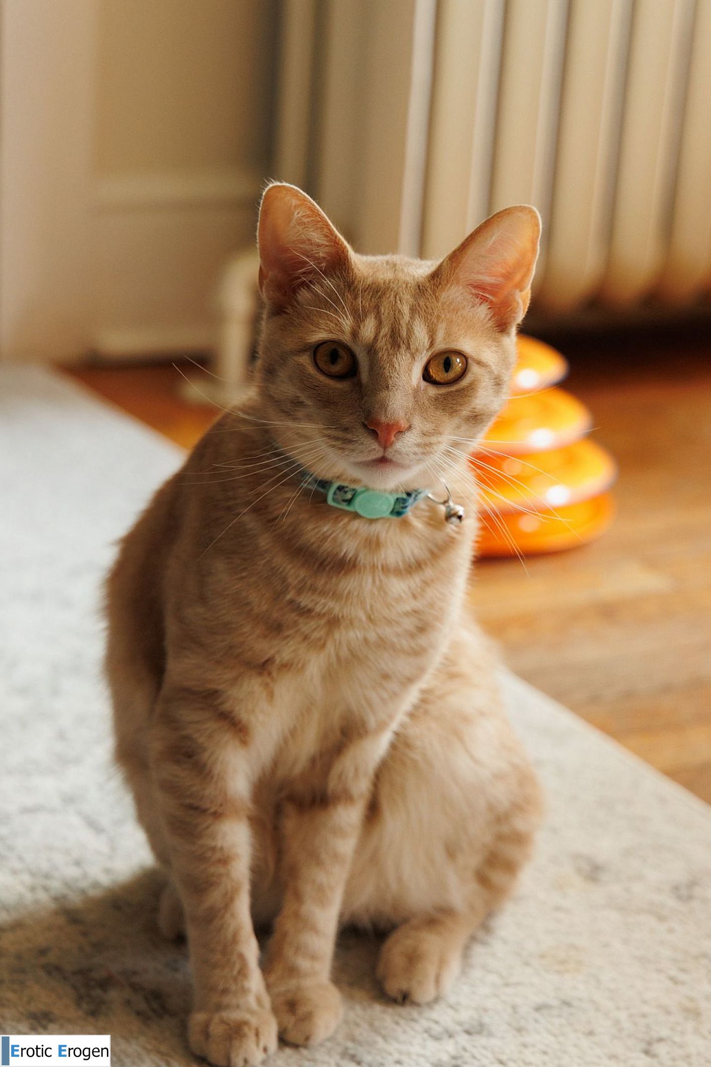 Jezebel Madd in Only In America 2. Picture 38